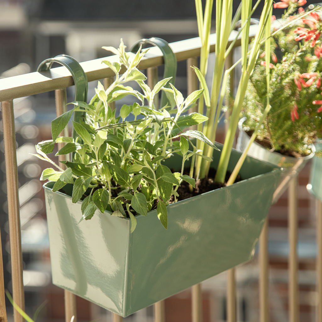 collection jardin 2025 søstrene grene