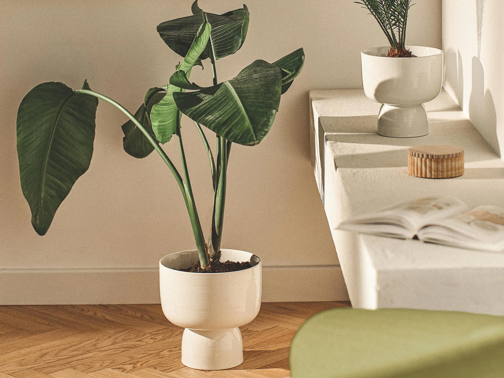 soldes décoration été 2025