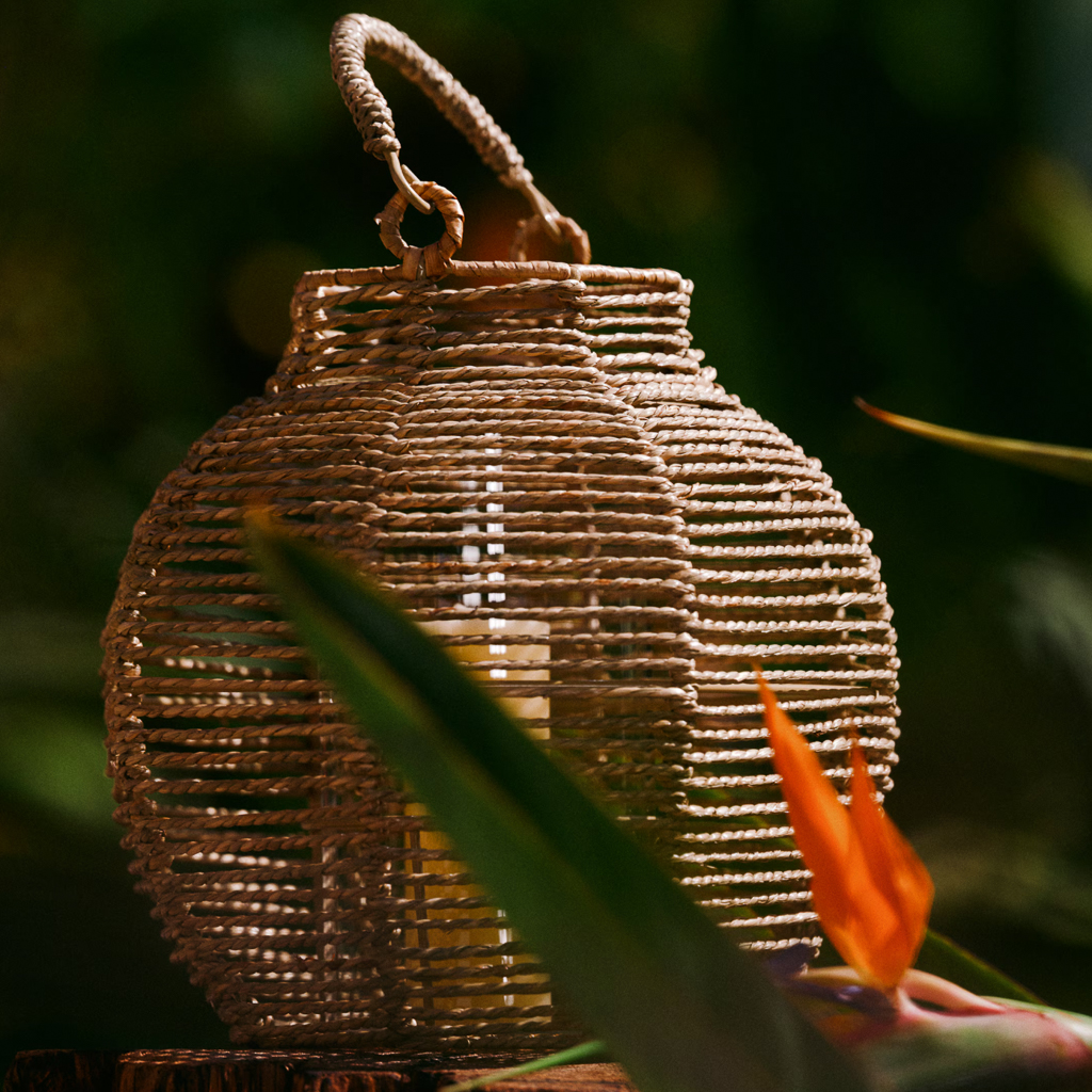 décoration jardin orange et vert
