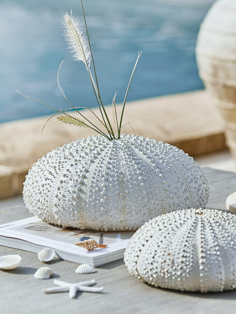 vase en forme d'oursin