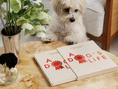 coffret livre à remplir chien printworks