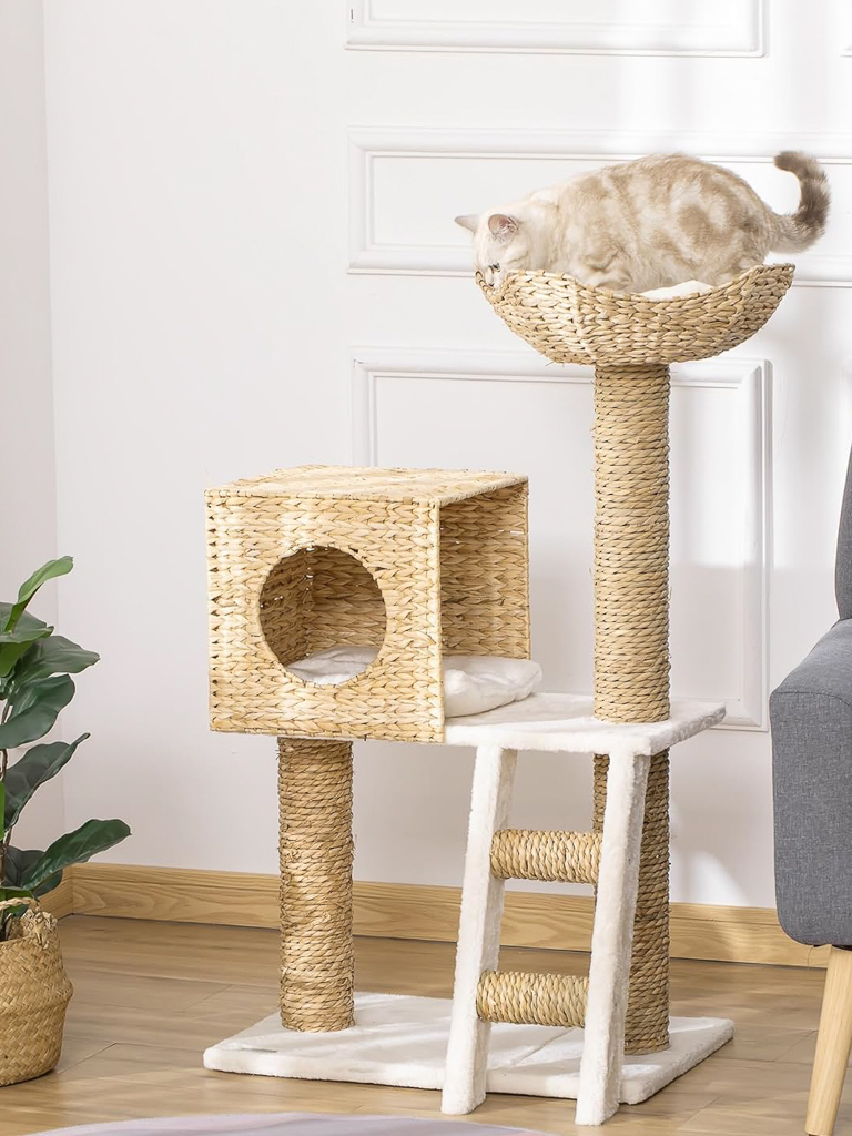 idée cadeau pour chat