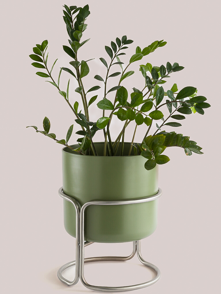 soldes hiver 2026 déco