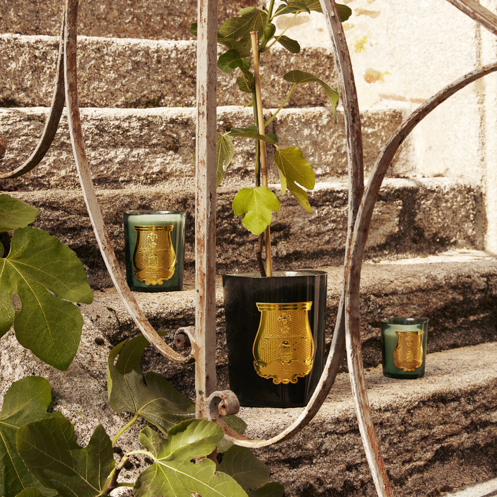 actualités déco mars 2026